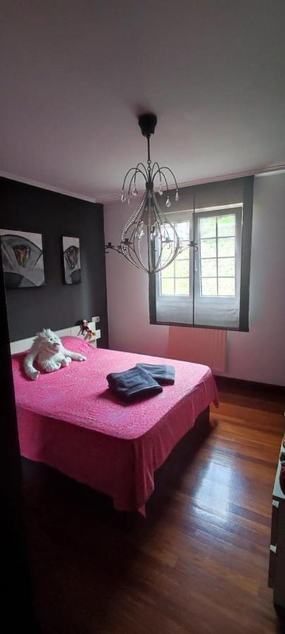 Nala House, Acogedor,Bien Comunicado,Aparcamiento Gratis En La Calle Bilbao Buitenkant foto